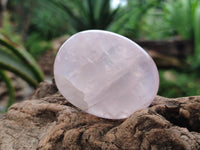 Polished Rose Quartz Palm Stones x 12 From Madagascar