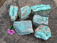 Natural Drusy Coated Chrysocolla with Malachite On Dolomite Specimens x 6 From Lupoto, Congo