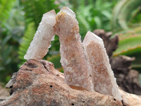 Natural Limonite Fairy Spirit Quartz Fingers x 70 From Boekenhouthoek, South Africa