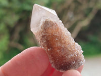 Natural Limonite Fairy Spirit Quartz Fingers x 70 From Boekenhouthoek, South Africa