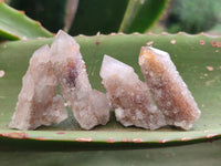 Natural Limonite Fairy Spirit Quartz Fingers x 70 From Boekenhouthoek, South Africa