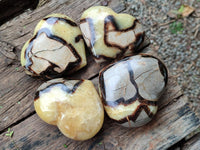 Polished Large Septerye Hearts x 6 From Mahajanga, Madagascar