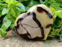 Polished Large Septerye Hearts x 6 From Mahajanga, Madagascar