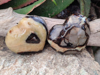 Polished Large Septerye Hearts x 6 From Mahajanga, Madagascar