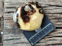 Polished Large Septerye Hearts x 6 From Mahajanga, Madagascar