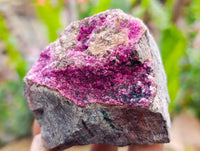 Natural Salrose Cobaltion Dolomite Specimens x 5 From Kakanda, Congo