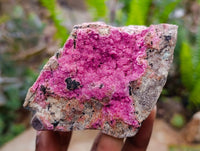 Natural Salrose Cobaltion Dolomite Specimens x 5 From Kakanda, Congo