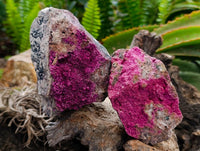 Natural Salrose Cobaltion Dolomite Specimens x 5 From Kakanda, Congo