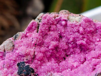 Natural Salrose Cobaltion Dolomite Specimens x 5 From Kakanda, Congo