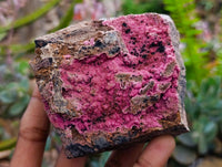 Natural Salrose Cobaltion Dolomite Specimens x 5 From Kakanda, Congo