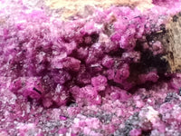 Natural Salrose Cobaltion Dolomite Specimens x 5 From Kakanda, Congo