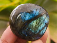 Polished Labradorite Galets x 22 From Tulear, Madagascar
