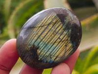 Polished Labradorite Galets x 22 From Tulear, Madagascar