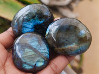 Polished Labradorite Galets x 22 From Tulear, Madagascar