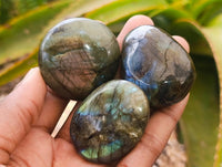 Polished Labradorite Galets x 22 From Tulear, Madagascar