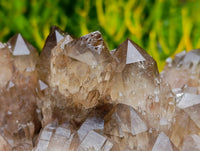 Natural Cascading Smokey Citrine Quartz Cluster x 1 From Luena , Congo