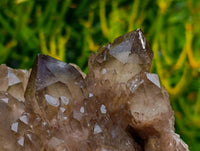 Natural Cascading Smokey Citrine Quartz Cluster x 1 From Luena , Congo