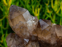 Natural Cascading Smokey Citrine Quartz Cluster x 1 From Luena , Congo