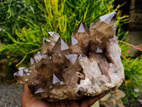 Natural Cascading Smokey Citrine Quartz Cluster x 1 From Luena , Congo