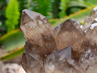 Natural Cascading Smokey Citrine Quartz Cluster x 1 From Luena , Congo