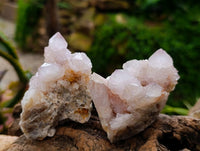 Natural Mixed Spirit Clusters x 12 From Boekenhouthoek, South Africa