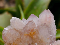 Natural Mixed Spirit Clusters x 12 From Boekenhouthoek, South Africa