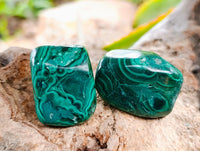 Polished Flower Banded Malachite Free Forms x 20 From Congo