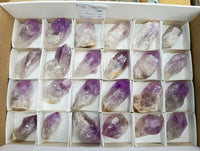 Natural Jacaranda Amethyst Crystals x 24 From Mumbwa, Zambia