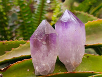 Natural Jacaranda Amethyst Crystals x 24 From Mumbwa, Zambia