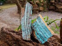 Natural Drusy Coated Chrysocolla On Dolomite Specimens x 4 From Lupoto Mine, Congo