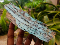 Natural Drusy Coated Chrysocolla On Dolomite Specimens x 4 From Lupoto Mine, Congo