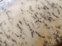 Polished Dendritic Opal Palm Stones x 12 From Moralambo, Madagascar