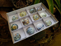 Polished Dendritic Opal Palm Stones x 12 From Moralambo, Madagascar