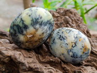Polished Dendritic Opal Palm Stones x 12 From Moralambo, Madagascar