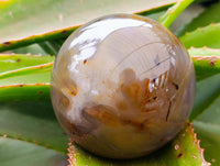 Polished Banded Agate Spheres x 2 From Madagascar