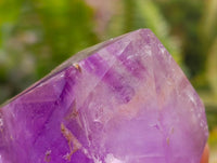 Polished Window Amethyst Crystals x 6 From Akansobe, Madagascar