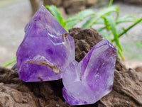 Polished Window Amethyst Crystals x 6 From Akansobe, Madagascar
