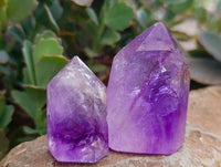 Polished Window Amethyst Crystals x 6 From Akansobe, Madagascar