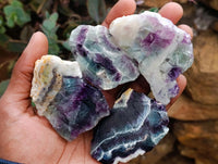 Polished On One Side Watermelon Fluorite Slices x 12 From Uis, Namibia