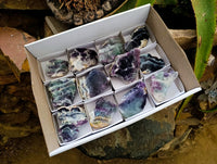 Polished On One Side Watermelon Fluorite Slices x 12 From Uis, Namibia