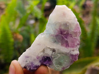 Polished On One Side Watermelon Fluorite Slices x 12 From Uis, Namibia