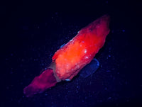 Natural Drusy Quartz Coated Spearhead Calcite Specimens x 12 From Albert's Mountain, Lesotho