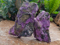 Natural Stichtite Cobbed Specimens x 6 From Barberton, South Africa