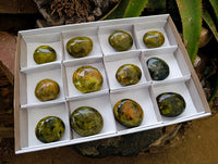 Polished Green Opal Palm Stones x 12 From Antsirabe, Madagascar