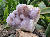 Natural Sunburst Amethyst Spirit Cluster x 1 From Boekenhouthoek, South Africa