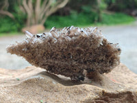 Natural Aegirine Specimens x 6 From Zomba, Malawi