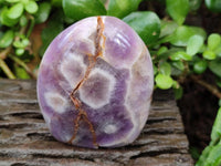 Polished Purple Chevron Amethyst Standing Free Forms x 6 From Madagascar