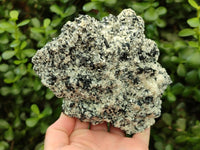 Natural Schorl Black Tourmaline with Mica x 1 From Erongo, Namibia