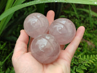 Polished Gemmy Star Rose Quartz Spheres x 6 From Madagascar