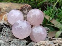 Polished Gemmy Star Rose Quartz Spheres x 6 From Madagascar